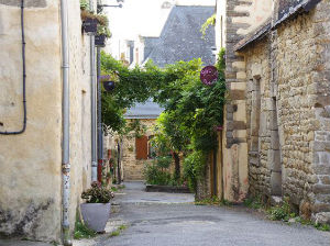 Ruelle de La Roche Bernard